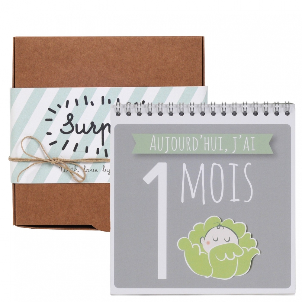 Cartes Etapes Mois Par Mois Pour Bebe Little Crevette