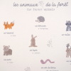 Affiche "Les animaux de la forêt"