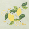 Serviette bavoir élastiqué vert mixte fille garçon motif Citron feuille en coton bio oekotex
