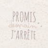 Grande serviette élastiquée coloris crème glacée mixte brodé phrase rigolote en coton bio oekotex