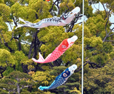 fete koinobori