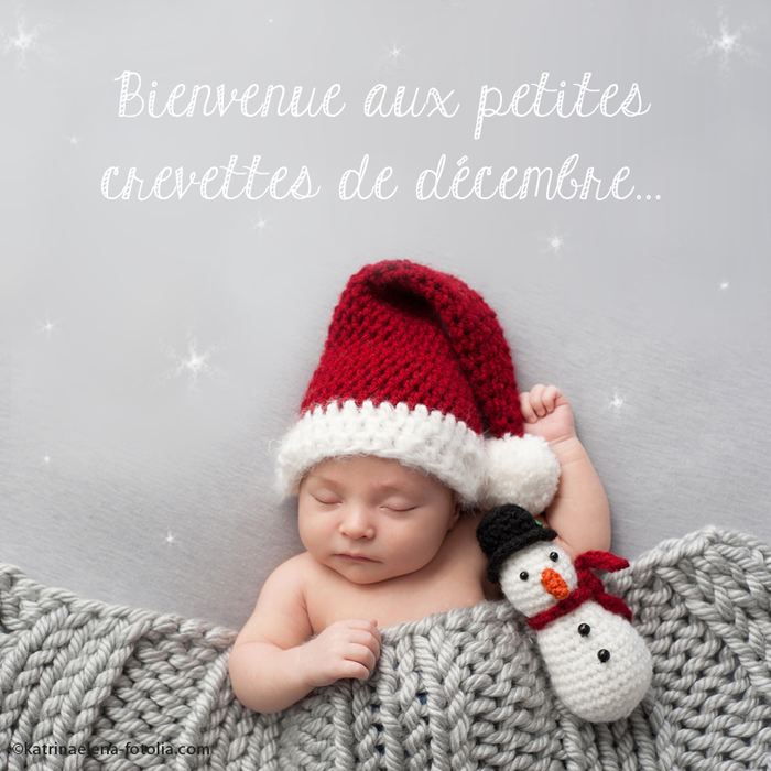 Concours Crevettedumois De Little Crevette Concours Crevettedumois De Little Crevette
