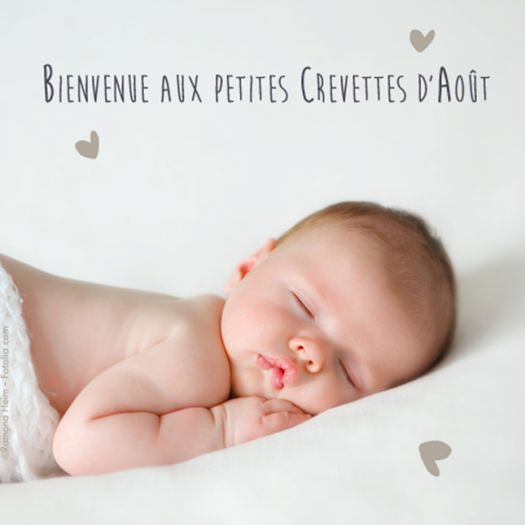 Concours Crevettedumois La Gazette De Little Crevette