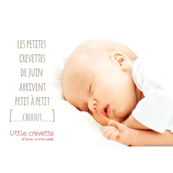 Concours Crevettedumois La Gazette De Little Crevette