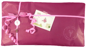 paquet cadeau fille